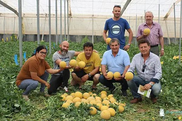 Agricultores-en-la-jornada-de-melon-Angliru-en-El-Ejido